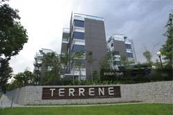 Terrene At Bukit Timah (D21), Condominium #143006492